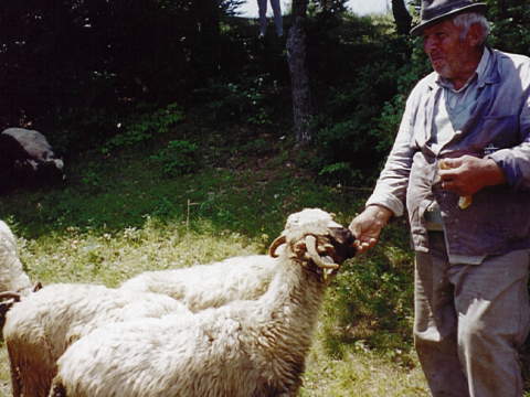 Limburger Besuch im Bergdorf Vukanovici (Bosnien-Herzegowina)vukanovici7.jpg